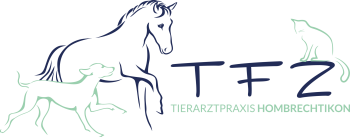 Logo Horizontal_Türkis